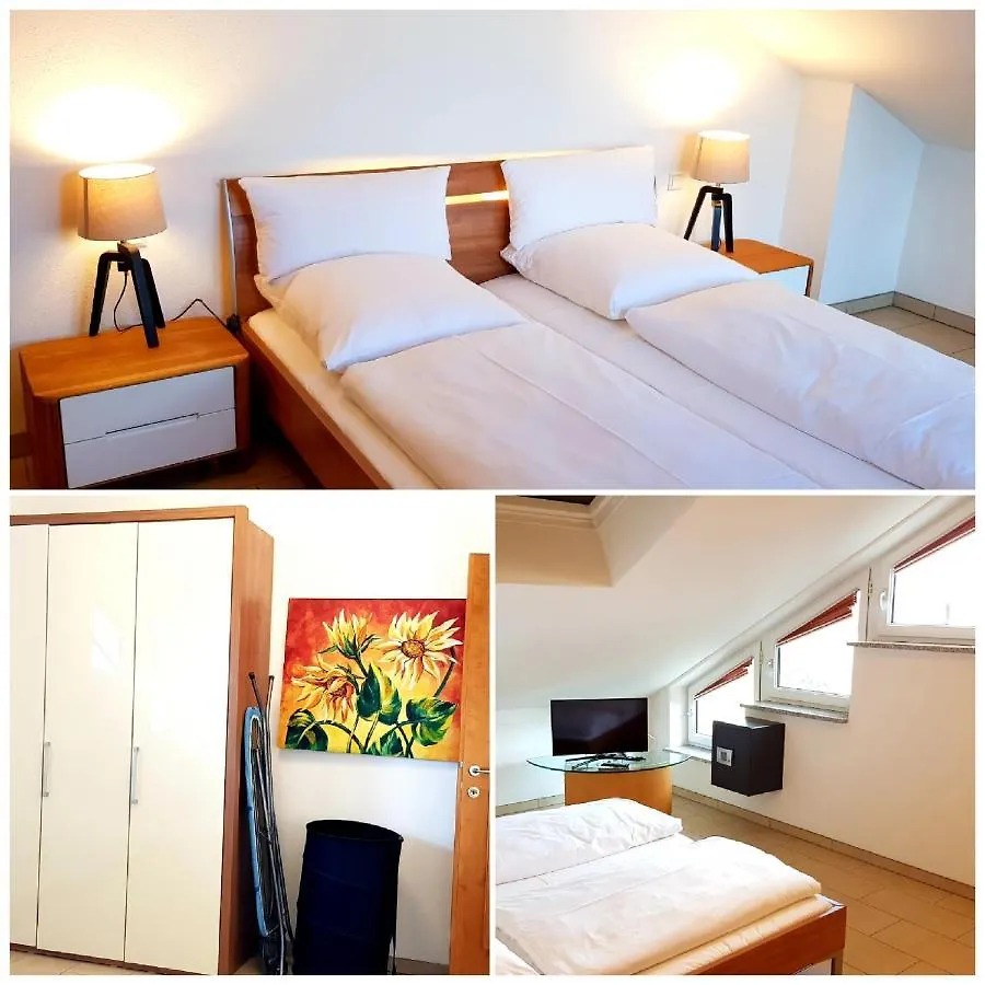 Villa Viktoria 2 - Apartments Ingolstadt 0*,